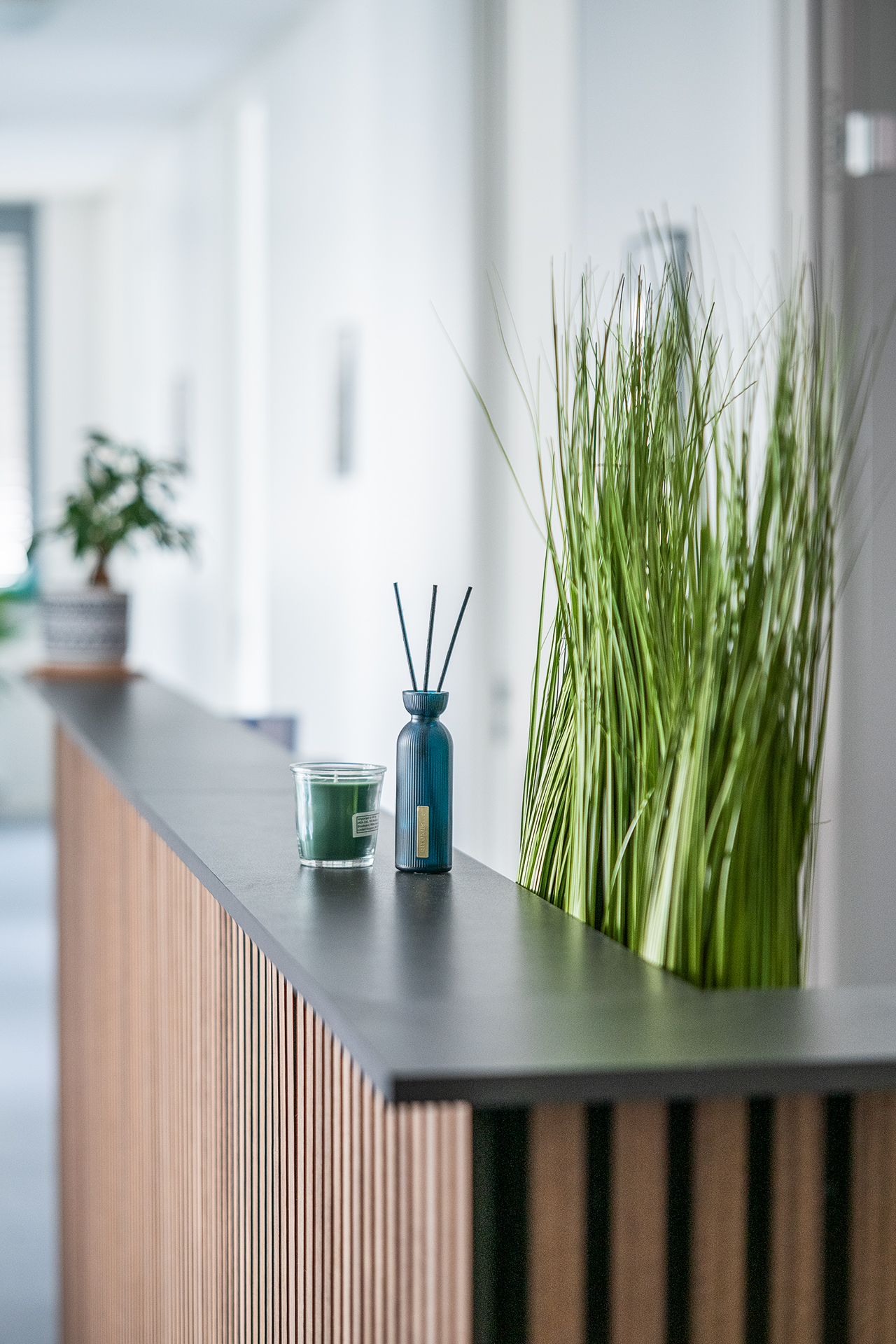 Rezeption mit Pflanze in der Praxis für Physiotherapie in Bensheim.